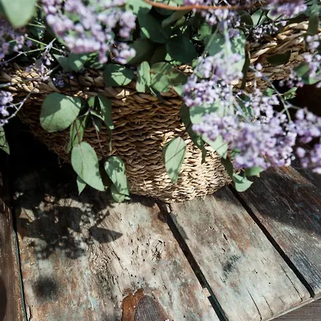 Ξενοδοχείο Natura Mas Tapiolas